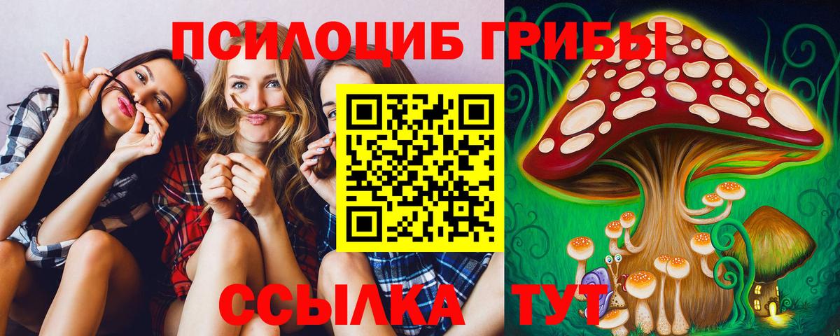 дарнет шоп  Вход с VPN  Псилоцибиновые грибы GOLDEN TEACHER  Великий Устюг  Псилоцибиновые грибы прущие грибы 
