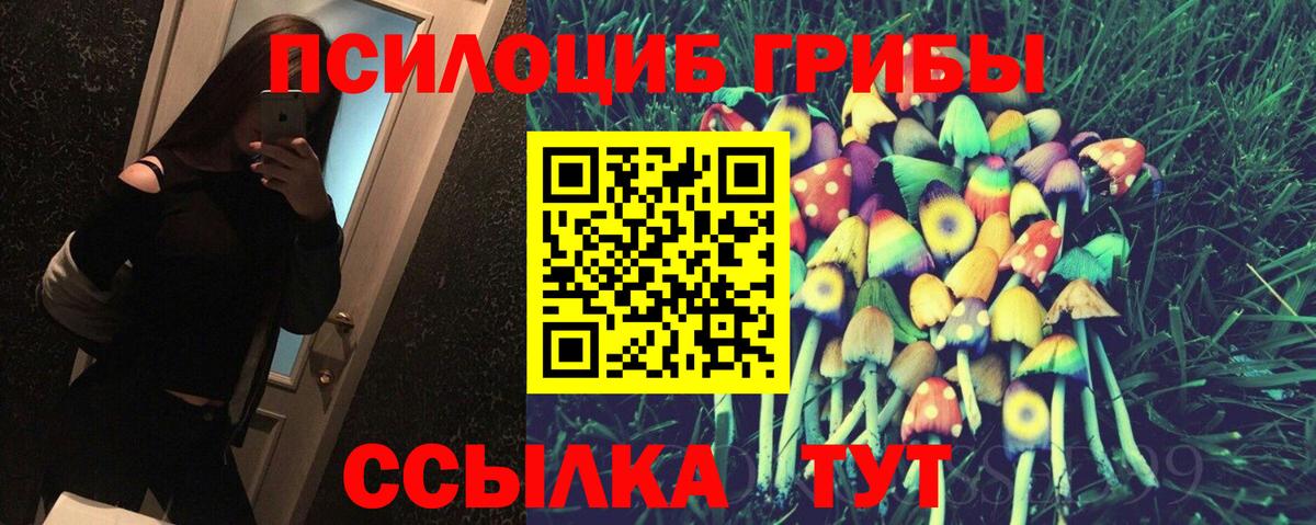 Псилоцибиновые грибы Cubensis Великий Устюг