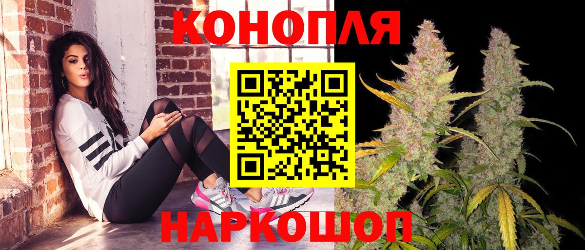 Конопля OG Kush Великий Устюг